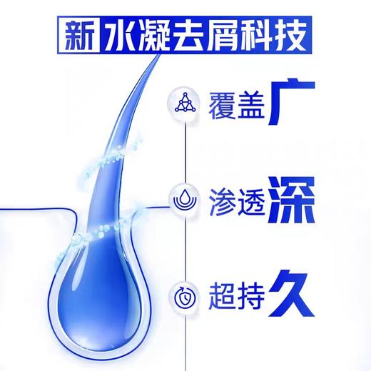 海飞丝去屑洗发露系列 430g/瓶 商品图4