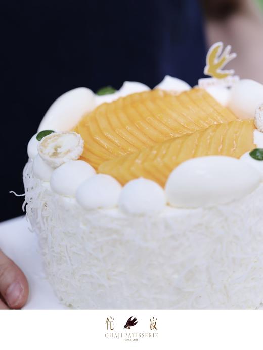 生椰斑斓 商品图9