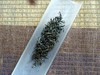 福州茉莉花茶·香在三伏 商品缩略图2