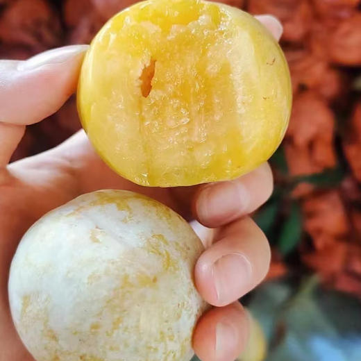 黄金奈李 1000g/份 商品图1