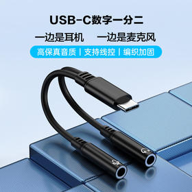 严选【一分二麦克风转接线】适用苹果数字音频dacTypeC语音听歌情侣转接头1条