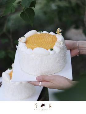 生椰斑斓