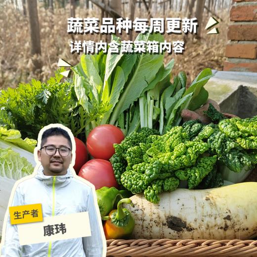 生态蔬菜箱（安徽）| 合作生产*ecological eafy vegetables | Coproduction 商品图0