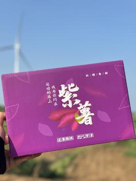 【吉耕严选】紫薯 |香甜软糯无丝|低脂粗粮，可蒸可烤，低脂低热量