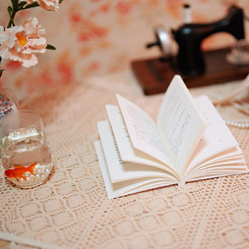 缝纫机与金鱼（直面衰老与照护，摸索女性的困境与出口；为生存而挣扎的一生，竟然还有爱的余力）（日）永井美糸 著 商品图7