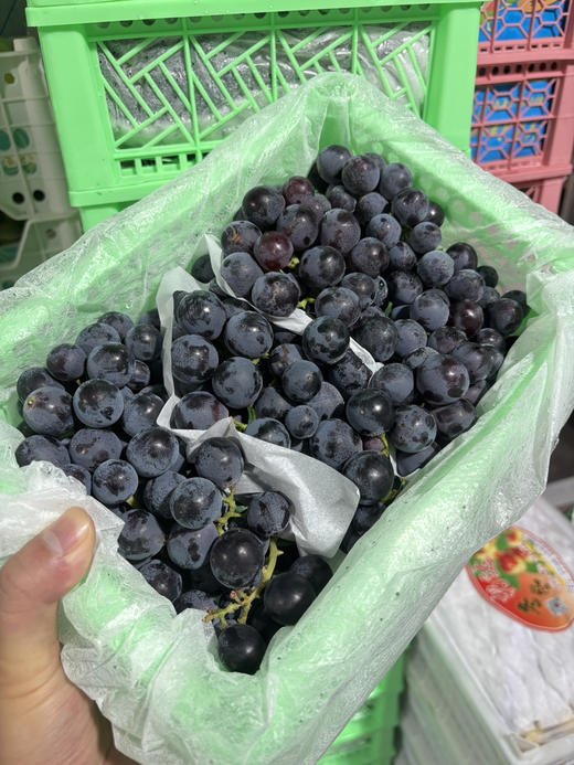 22.8元/件新疆蓝莓夏黑葡萄净重约3斤左右 商品图0