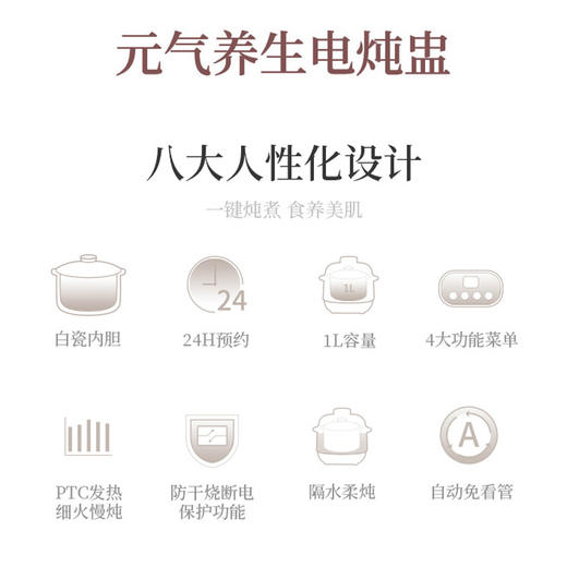 艾青春 电炖锅10A 商品图1