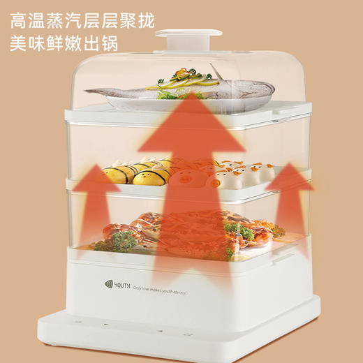 艾青春 智能款电蒸锅KH-Z06（22L） 商品图5