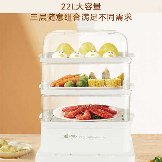 艾青春 智能款电蒸锅KH-Z06（22L） 商品图2