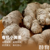 有机小黄姜 1斤/2斤/3斤/5斤｜云南文山【Y】 商品缩略图3