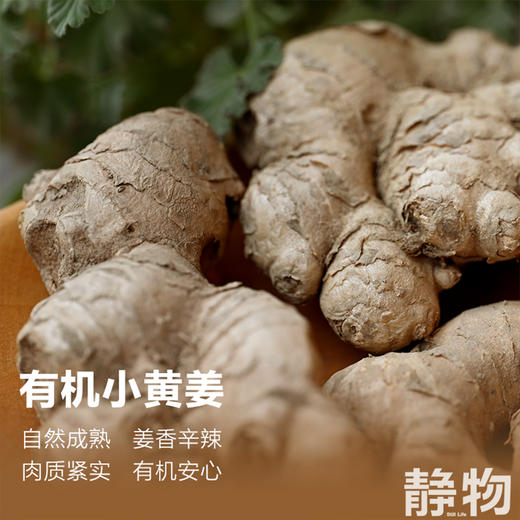 有机小黄姜 1斤/2斤/3斤/5斤｜云南文山【Y】 商品图3