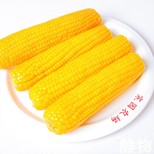 有机糯玉米 10穗装 约2500g｜黑龙江青冈【Y】 商品图1