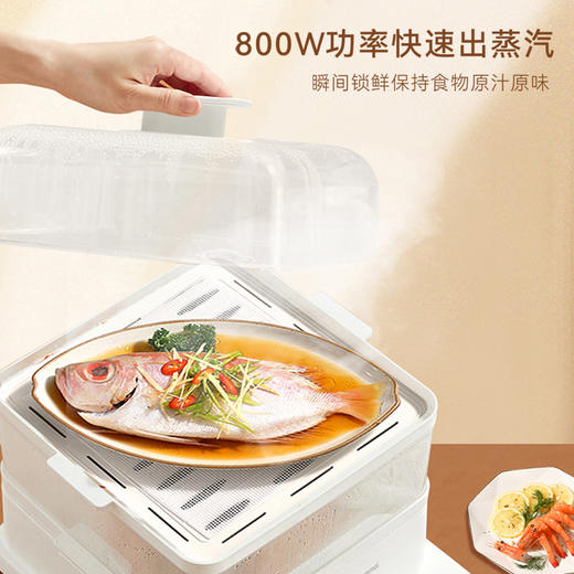 艾青春 智能款电蒸锅KH-Z06（22L） 商品图3