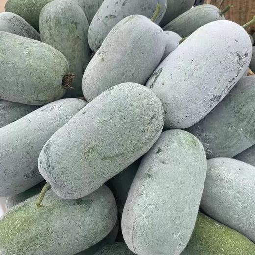 新鲜蔬菜 万家坪华耐小冬瓜 1枚（4.5~5斤左右） 商品图0