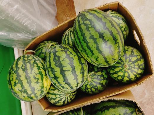 甘美4K西瓜一个 商品图0