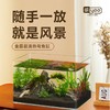严选超清玻璃热弯鱼缸【40x24x25CM】桌面小型水族箱客厅水草造景生态缸1个 商品缩略图2