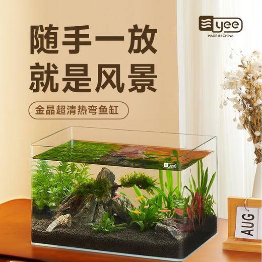严选超清玻璃热弯鱼缸【40x24x25CM】桌面小型水族箱客厅水草造景生态缸1个 商品图2