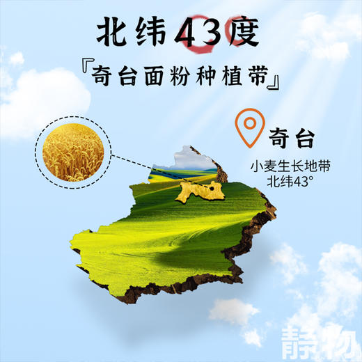 有机全麦面粉1kg/ 2.5kg｜新疆奇台 商品图5