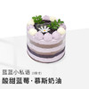 【蓝蓝小私语】3英寸分享限定蛋糕 商品缩略图0