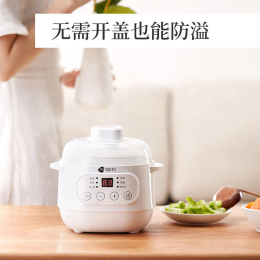 艾青春 电炖锅10A 商品图5