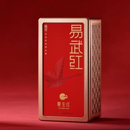 勐乐山2025云生红（锦云-易武红）铁罐装50g 商品图6