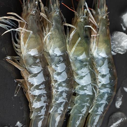 冷冻大虾卡玛基围虾 带盒4斤左右/盒 商品图2