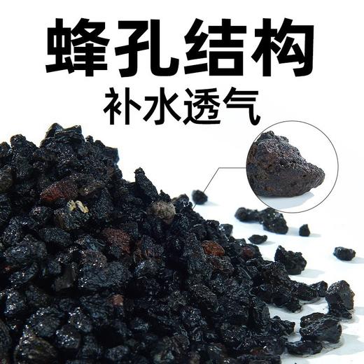 严选【活化水质天然火山石红色1-2cm】大块颗粒原石滤材鱼缸造景底砂陶粒1kg 商品图1