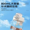 嘉特畅享弹盖杯GTS-3327-080 800ml 商品缩略图4