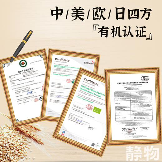 有机拉面300g｜新疆昌吉 商品图4