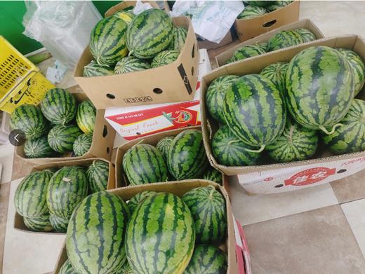 甘美4K西瓜一个 商品图1