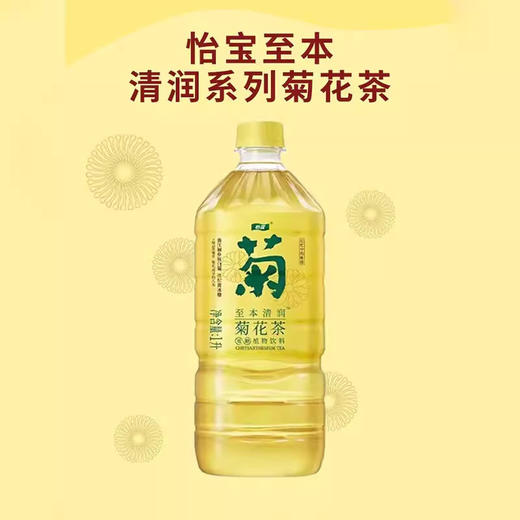 怡宝至本清润菊花茶植物饮料1L瓶 茶饮料 商品图1