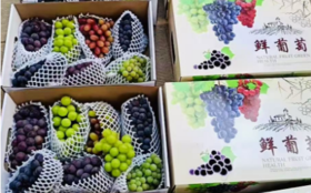 万家坪葡萄礼盒（6-7个品种）（8-9斤）