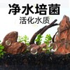 严选【活化水质天然火山石红色1-2cm】大块颗粒原石滤材鱼缸造景底砂陶粒1kg 商品缩略图2