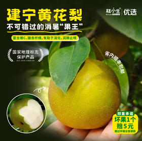水果优选-建宁黄花梨，被誉为“梨中之王”，富含维C等，有助于消化、润肺止咳等功效（坏果1个赔付5元）