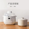 艾青春 电炖锅10A 商品缩略图9