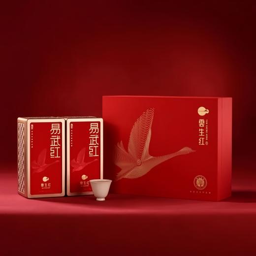 勐乐山2025云生红（锦云-易武红）铁罐装50g 商品图7