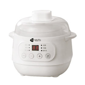 艾青春 电炖锅10A