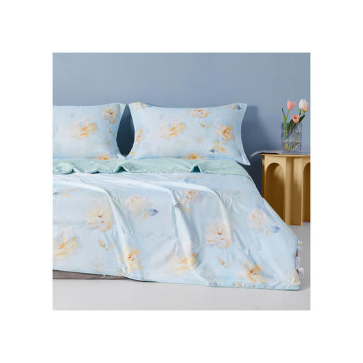 博洋家纺博洋夏凉被—晕染玫瑰150*210cm （YI）W924132203128 商品图0