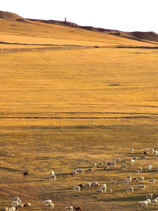 形摄东北·寻最美秋景阿尔山双飞14天【业主专团】0自费0购物 小区接送 【旅游】 商品图3