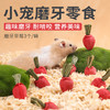 严选【趣味磨牙草莓3个/袋】仓鼠磨牙小动物零食磨牙造景花枝鼠龙猫解闷零食 商品缩略图0