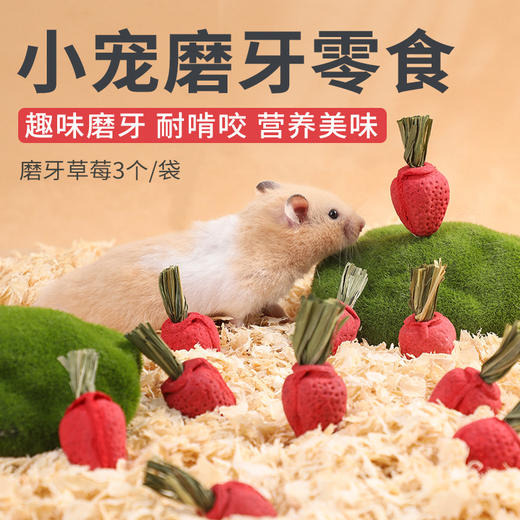 严选【趣味磨牙草莓3个/袋】仓鼠磨牙小动物零食磨牙造景花枝鼠龙猫解闷零食 商品图0