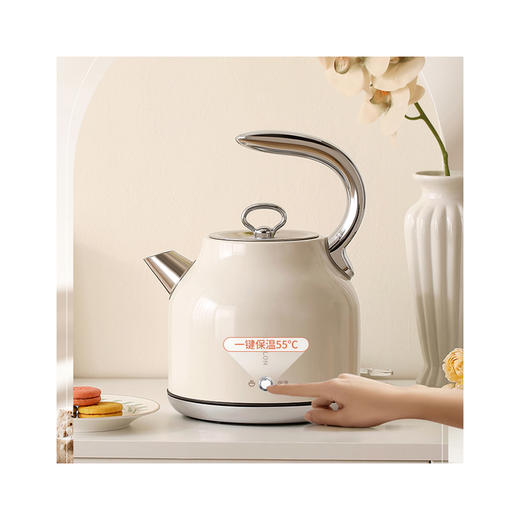 德世朗 电热水壶（保温款）1.7L DDQ-SH205TB 商品图2