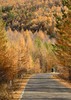 形摄东北·寻最美秋景阿尔山双飞14天【业主专团】0自费0购物 小区接送 【旅游】 商品缩略图1