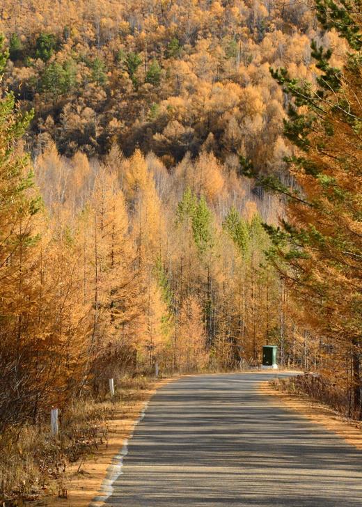 形摄东北·寻最美秋景阿尔山双飞14天【业主专团】0自费0购物 小区接送 【旅游】 商品图1