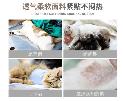 严选宠物绝育服猫咪绝育术后恢复防创口接触外物防舔绑带服透气蓝色猫猫服 商品图2