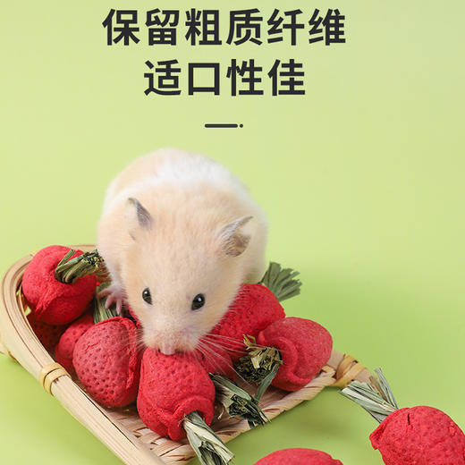 严选【趣味磨牙草莓3个/袋】仓鼠磨牙小动物零食磨牙造景花枝鼠龙猫解闷零食 商品图3