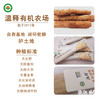 有机铁棍怀山药素面300g｜河南焦作 商品缩略图4