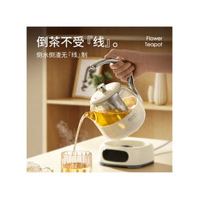 德世朗 花茶壶0.6L DDQ-SH229