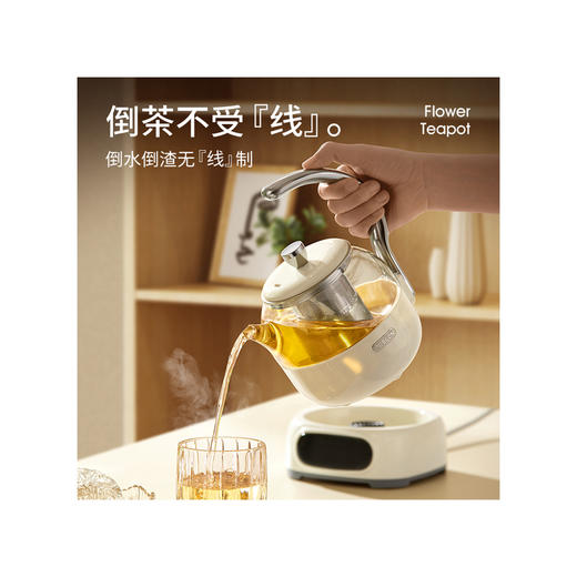 德世朗 花茶壶0.6L DDQ-SH229 商品图0