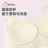 都市丽人内衣女士内衣泳布内衣无尺码内衣文胸无钢圈无排扣LBH64N 商品缩略图4